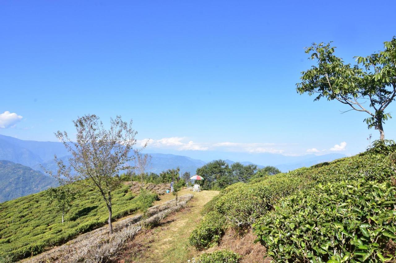 Singtom Tea Estate & Resort Dárdžiling Exteriér fotografie